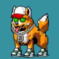 DogePunks #2673