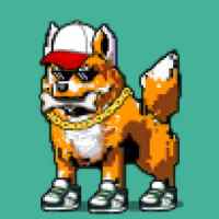 DogePunks #2011