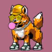DogePunks #1561
