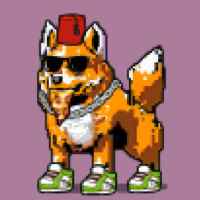 DogePunks #3430