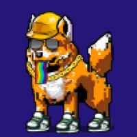 DogePunks #241