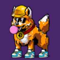 DogePunks #1170