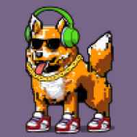 DogePunks #456