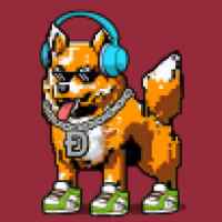 DogePunks #4998