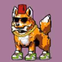 DogePunks #427