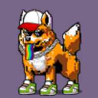 DogePunks #533