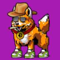 DogePunks #376