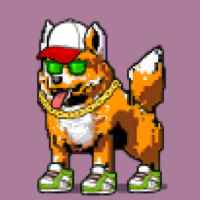 DogePunks #868