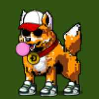 DogePunks #858