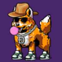 DogePunks #1000