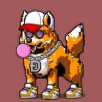 DogePunks #4064