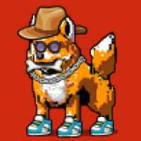 DogePunks #4623