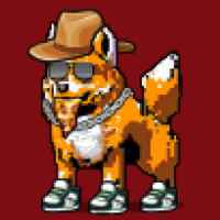 DogePunks #2323