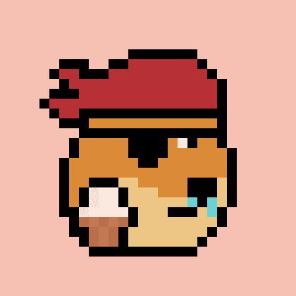 Dogepunk #1919