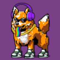 DogePunks #498