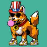 DogePunks #3909