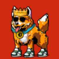 DogePunks #230