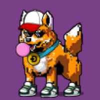 DogePunks #1900