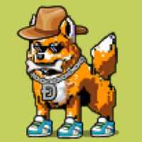 DogePunks #2855