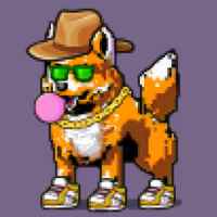 DogePunks #923