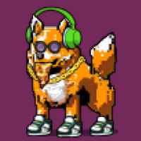 DogePunks #1284
