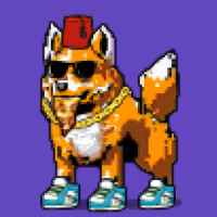 DogePunks #1207