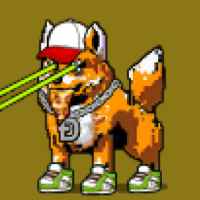 DogePunks #4071