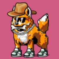 DogePunks #1304