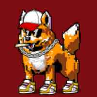 DogePunks #4550