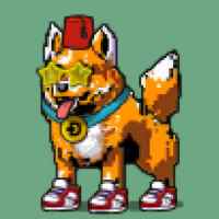 DogePunks #77
