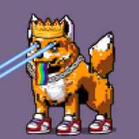 DogePunks #2446