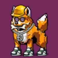 DogePunks #1806