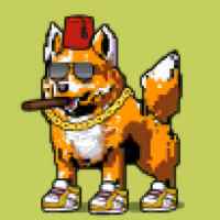 DogePunks #4699