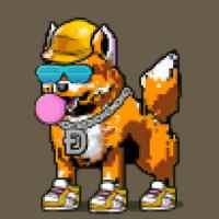 DogePunks #894