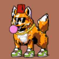 DogePunks #3435