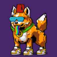 DogePunks #308