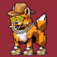 DogePunks #530