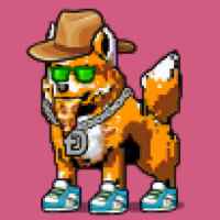 DogePunks #100