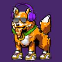 DogePunks #1979