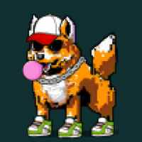 DogePunks #3462