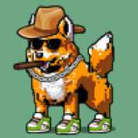 DogePunks #2678