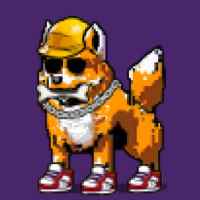 DogePunks #245