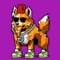 DogePunks #4925