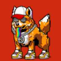DogePunks #424