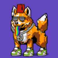DogePunks #1260