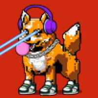 DogePunks #2517