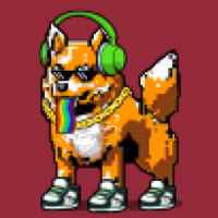 DogePunks #2041