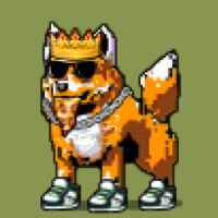 DogePunks #511
