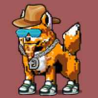 DogePunks #3848