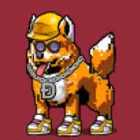 DogePunks #1794